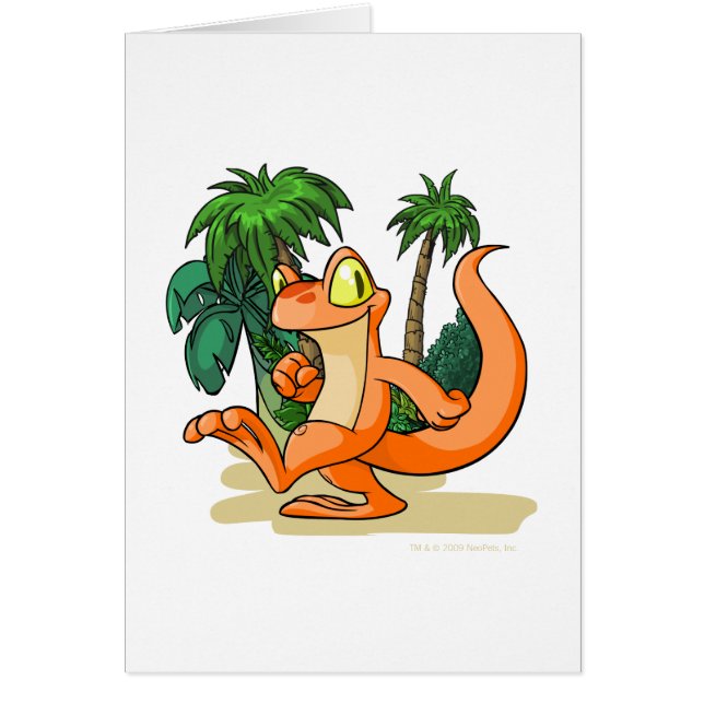 Techo orange sur une recherche d'île de mystère (Devant)