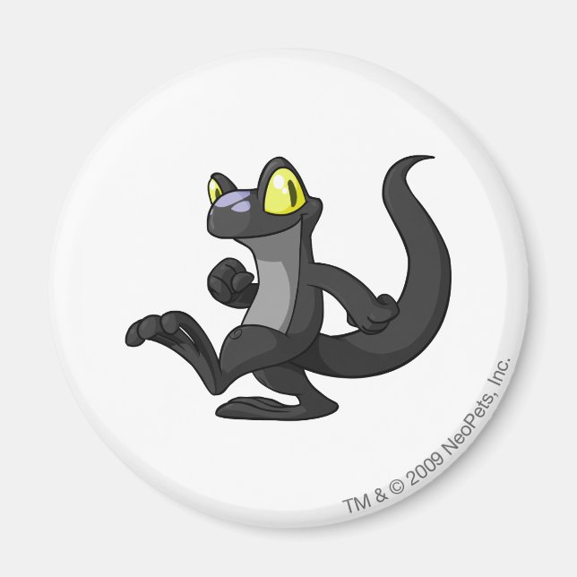 Techo Shadow Magnet (Vorne)