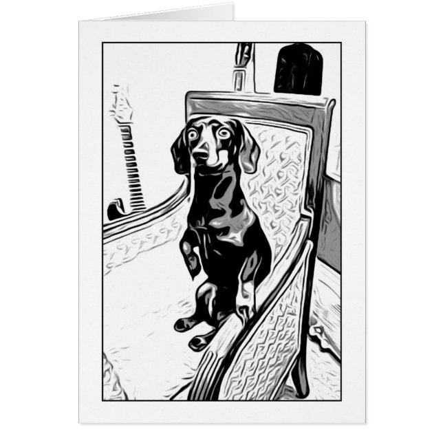 teckel approprié (Devant)