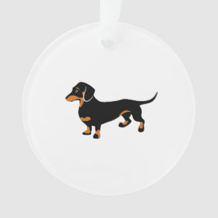 Teckel mignon - chien de Doxie