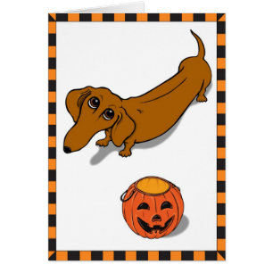 Teckel obtenu de festins