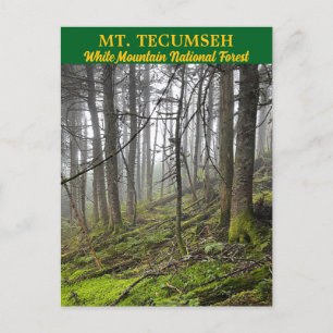 Tecumseh White Mountains Postcard Postkarte