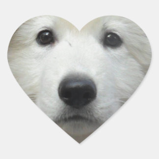 teddy_002.jpg Herz-Aufkleber