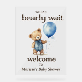 Teddy Bear Boy Baby Dusche Willkommen Acrylschild