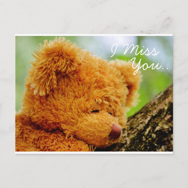 Teddy Bear I Miss You Postkarte (Vorderseite)