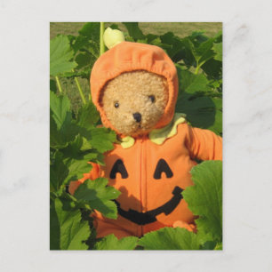 Teddy Bear im Pumpkin Patch Postkarte