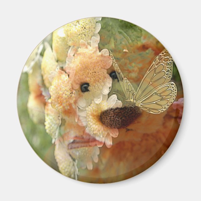 Teddy Bear Magnet (Vorne)