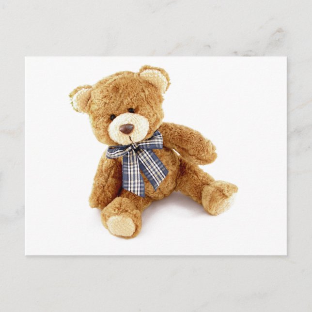 Teddy Bear Postkarte (Vorderseite)