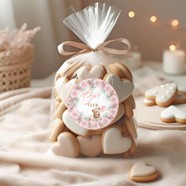 Teddy Bear Team Girl Gender Reveal Sticker (Von Creator hochgeladen)