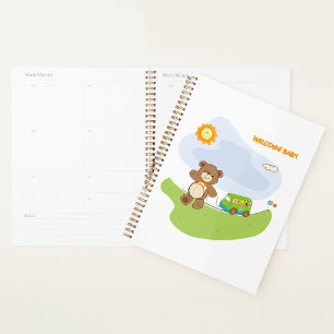 Teddy Bear Welcome Baby Nursery Design