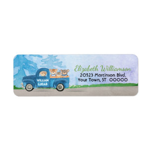 Teddy Bears Blue Truck Green Baby Boy Label