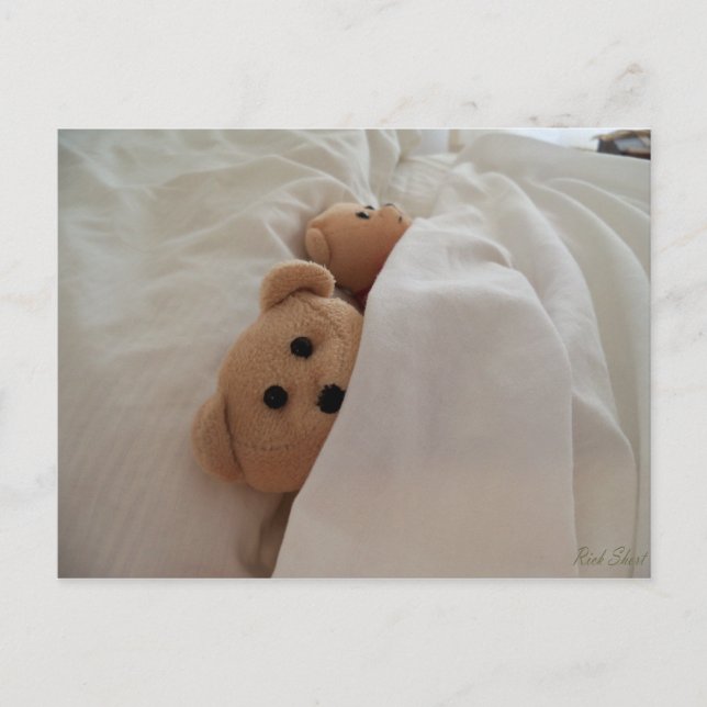 Teddy Bears Schlafen im Spätpost-Card-Foto Postkarte (Vorderseite)