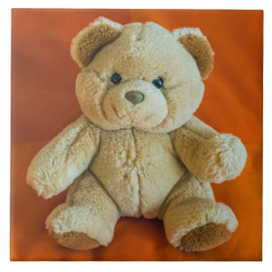 Teddy ertragen nahe Keramik Fliese