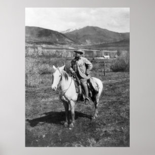 Teddy Goes Bear Junting, 1905 Poster