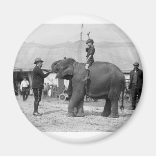 Teddy Roosevelt im Zirkus: 1924 Magnet