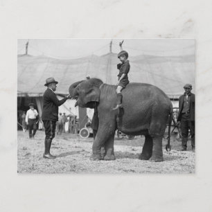 Teddy Roosevelt im Zirkus: 1924 Postkarte