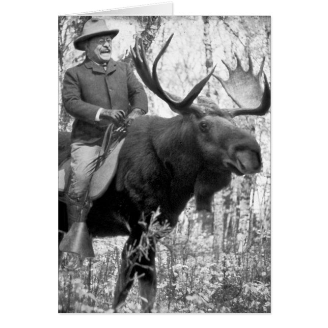 Teddy Roosevelt montant un orignal de Taureau (Devant)