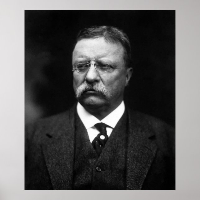 Teddy Roosevelt Poster (Vorne)