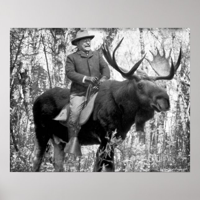 Teddy Roosevelt Reiten auf dem Weg zum Elch Poster (Vorne)