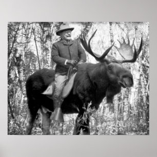 Teddy Roosevelt reitet auf einem Bull Moose Poster