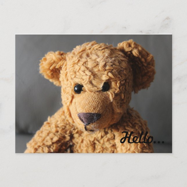 Teddy sagt Hallo Postkarte (Vorderseite)