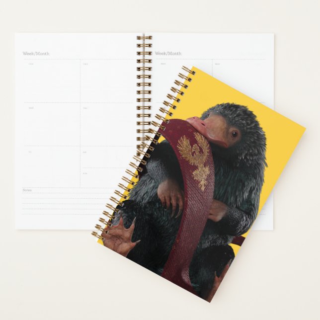 Teddy With Tie Graphic (Devant avec enveloppe)