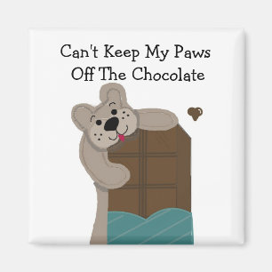 Teddybär knabbert an Schokolade Magnet