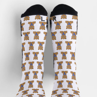 Teddybär mit blauem Schal Socken