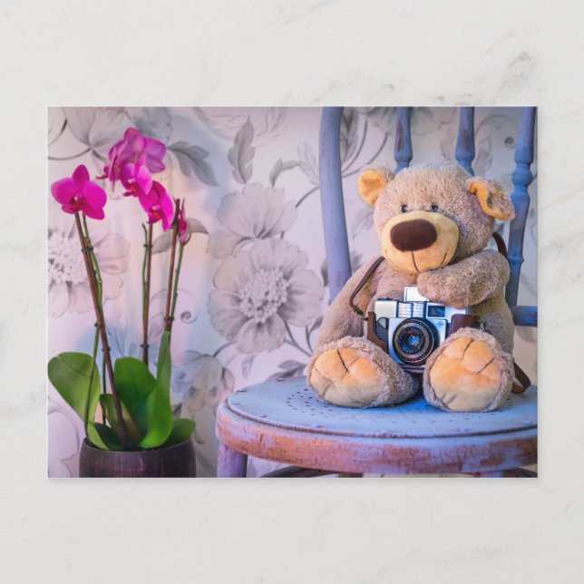 Teddybär mit Kamera-Postkarte Postkarte (Vorderseite)