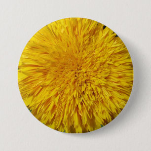 Teddybär-Sonnenblume Button