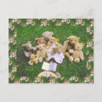Teddybären, frühe familiäre Ansammlung