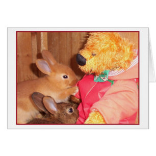 Teddys kleines Baby Häschen