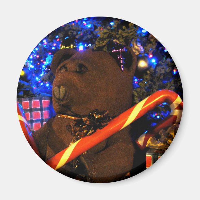 Teddys Weihnachten I Magnet (Vorne)