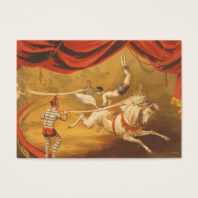 TEE Circus Act (Devant)