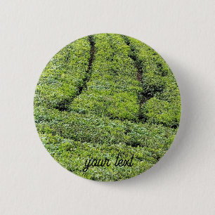 Tee-Gärten von Munnar am Button
