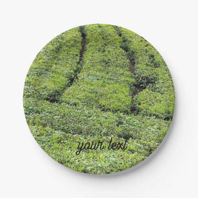 Tee-Gärten von Munnar auf  Pappteller (Vorderseite)