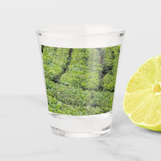 Tee-Gärten von Munnar auf  Schnapsglas (Vorderseite)