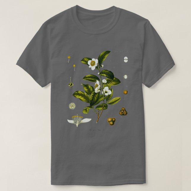 Tee Pflanze biologisch zeichnend Kamelie Sinensis (Design vorne)