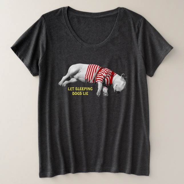 Tee - shirt de taille plus pour femmes (Design devant)