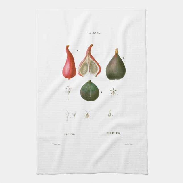 TEE-TOWEL: BOTANISCH: REDOUTÉ: Futter Geschirrtuch (Vertikal)