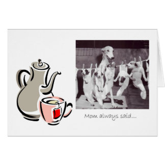 Teeberatung von einer Greyhound-Mama