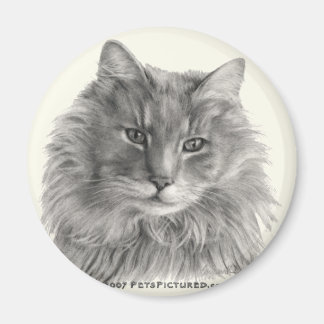 TeeGee, langhaarige graue Katze Magnet