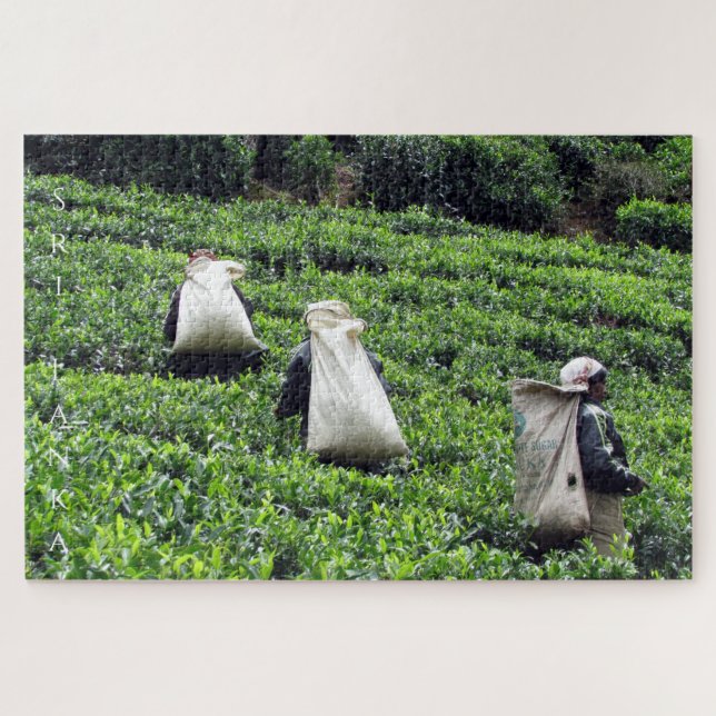 Teeplantage (Horizontal)