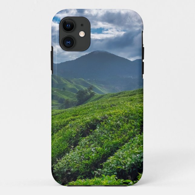 Teeplantage Cameron Highlands Case-Mate iPhone Hülle (Rückseite)