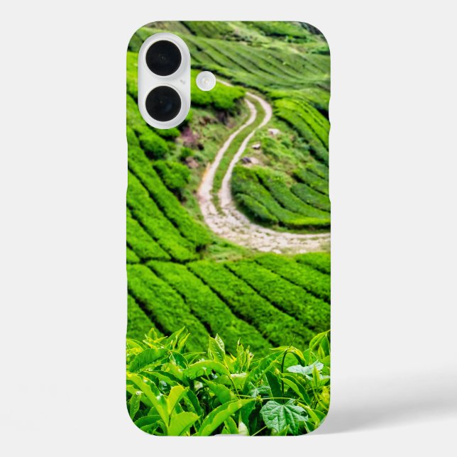 Teeplantage Cameron Highlands iPhone 16 Plus Hülle (Rückseite)