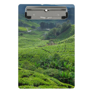 Teeplantage Cameron Highlands Mini Klemmbrett