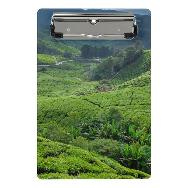 Teeplantage Cameron Highlands Mini Klemmbrett (Vorderseite)
