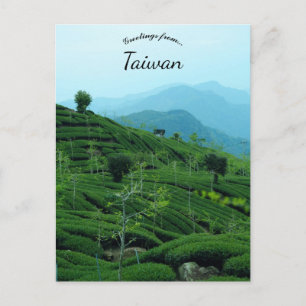 Teeplantage in Taiwan Postkarte