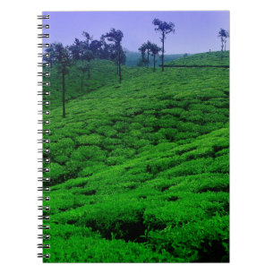 Teeplantage Notizblock