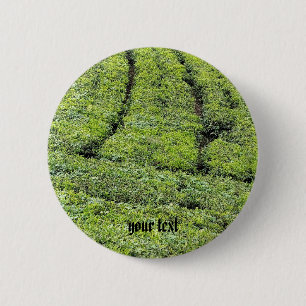 Teeplantagen von Munnar am Button